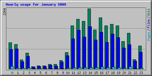 Hourly usage for January 2009