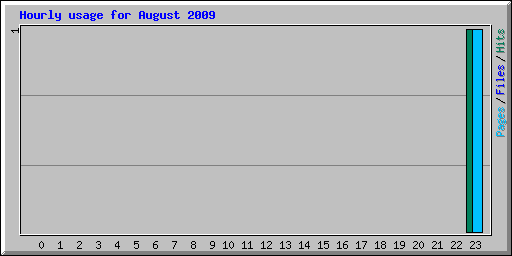 Hourly usage for August 2009