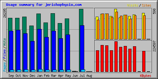 Usage summary for jerichophysio.com